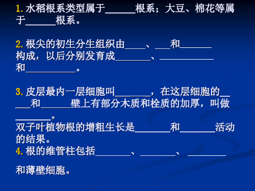 《植物学》课件 第4章 茎1