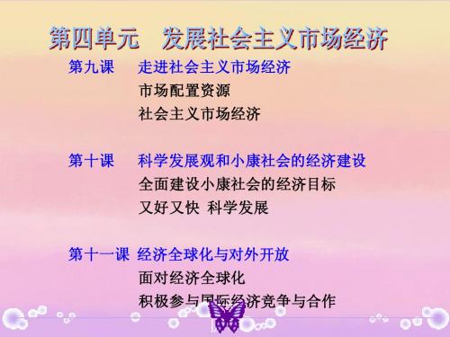 浙江省临海市高三政治《第九课 走进社会主义市场经济》复习课件