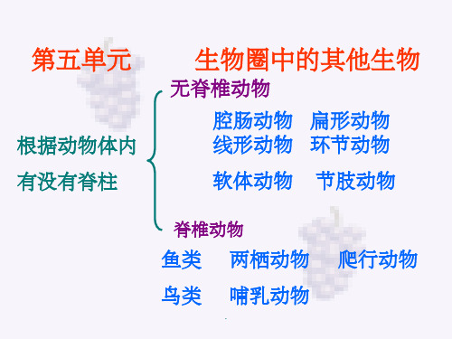 八年级生物上册总复习人教版2ppt课件