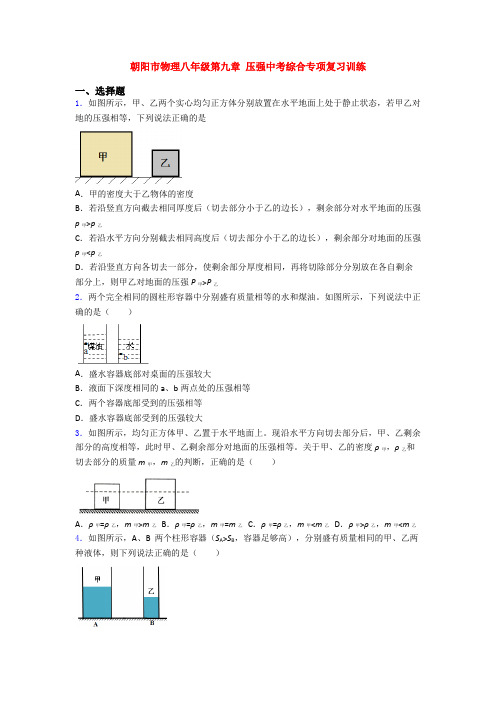 朝阳市物理八年级第九章 压强中考综合专项复习训练