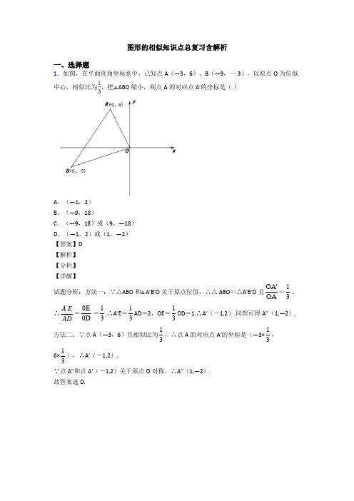 图形的相似知识点总复习含解析