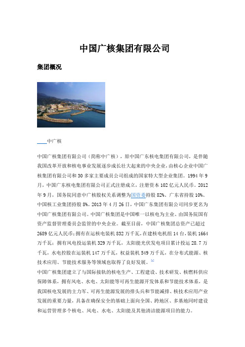 中国广核集团有限公司