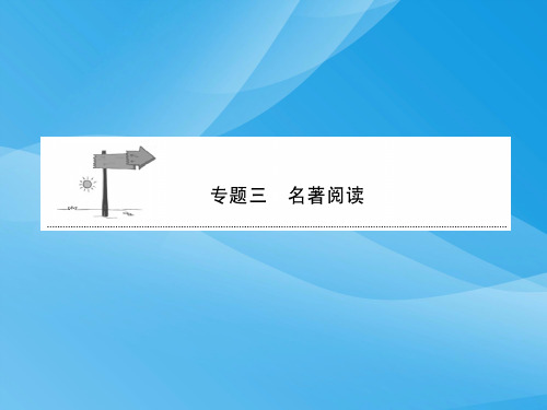 2018年中考语文总复习：名著阅读ppt课件(安徽2份)语文课件PPT