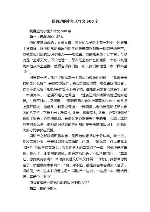 我身边的小能人作文500字