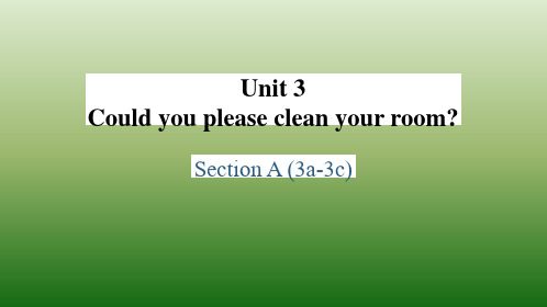 Unit3SectionA3a-3c课件人教版英语八年级下册