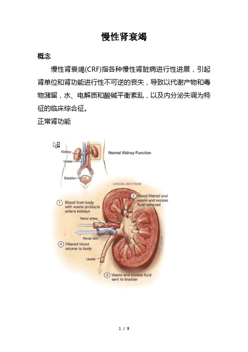 慢性肾衰竭及案例分析