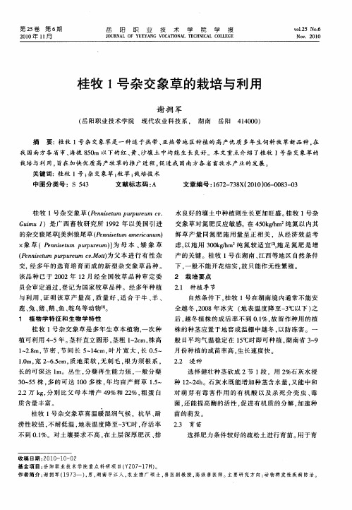 桂牧1号杂交象草的栽培与利用