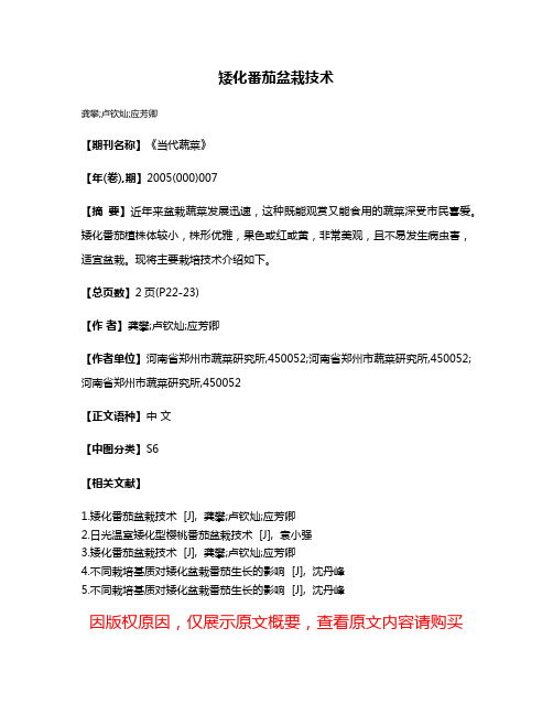 矮化番茄盆栽技术