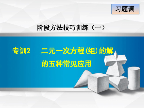 2020春冀教版七年级数学下册 第6章 专训2 二元一次方程(组)的解的五种常见应用(02)