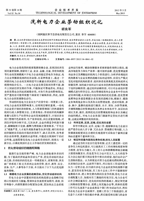 浅析电力企业劳动组织优化