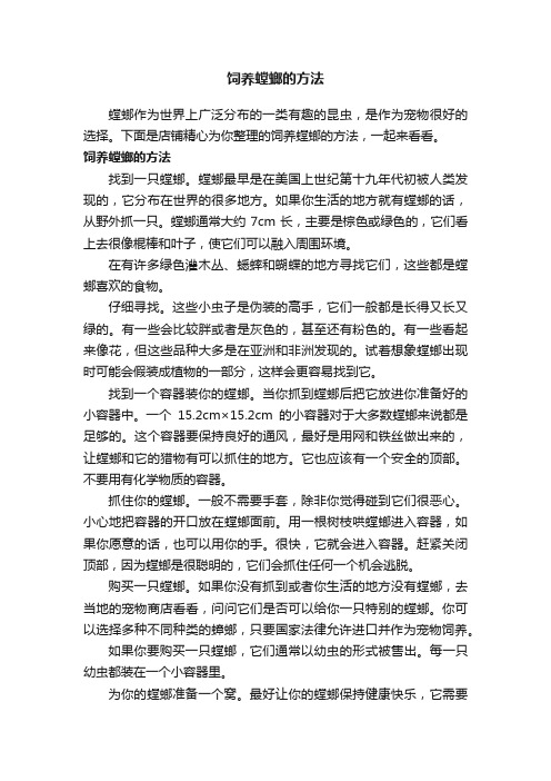 饲养螳螂的方法