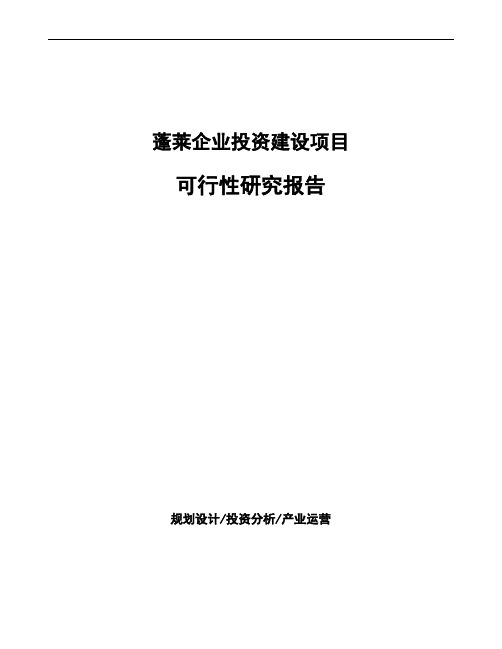 蓬莱如何编写项目可行性研究报告