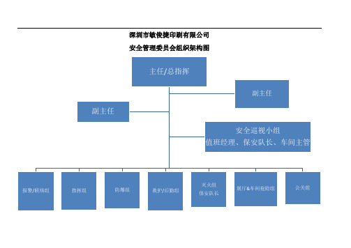 安全委员会组织架构图