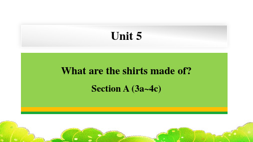 Unit+5+Section+A+(3a~4c)+课件+2023-2024学年人教版九年级英语全册