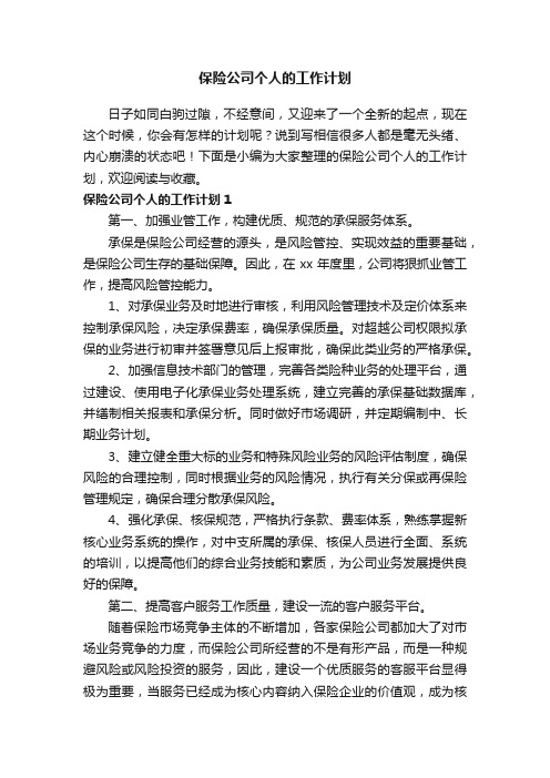 2020保险公司个人的工作计划范文（精选4篇）