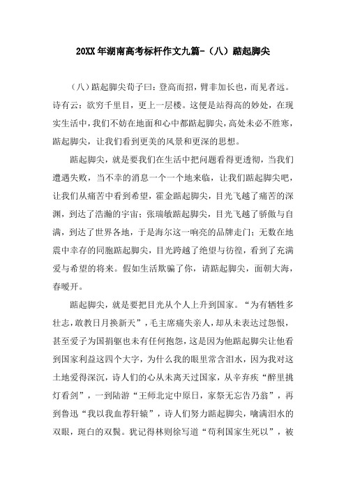 20XX年湖南高考标杆作文九篇-(八)踮起脚尖