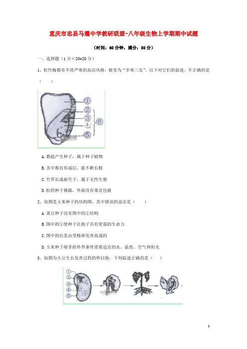 重庆市忠县马灌中学教研联盟八年级生物上学期期中试题