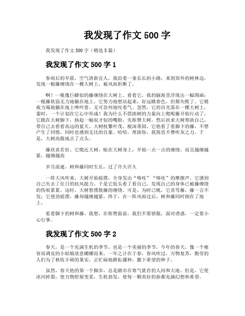 我发现了作文500字