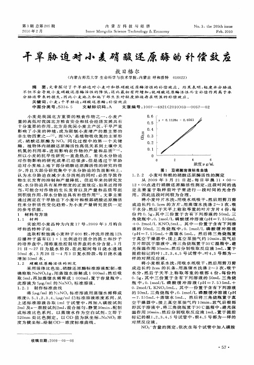 干旱胁迫对小麦硝酸还原酶的补偿效应