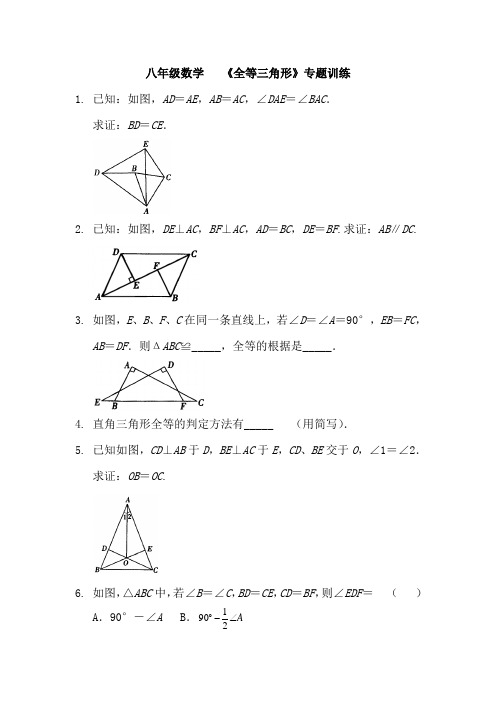 八年级数学   《全等三角形》专题训练 (5)