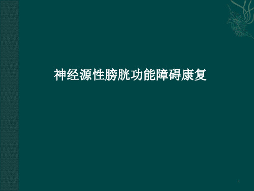 神经源性膀胱与肠道功能障碍康复PPT课件