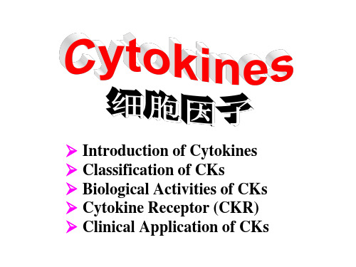 南农 生物技术制药  第五章细胞因子