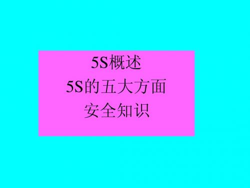 5S安全知识