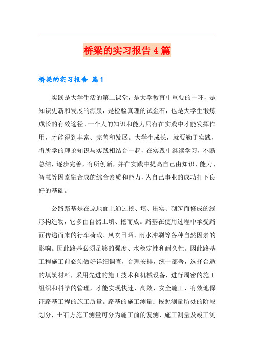 桥梁的实习报告4篇