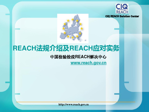 REACH培训ppt