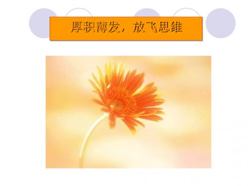 高中阶段写作总目标重点课件