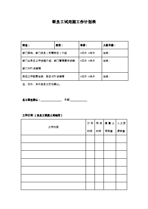 新员工试用期工作计划表