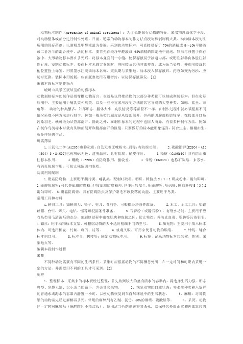 动物标本制作