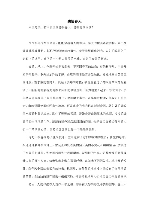 感悟春天_初中作文_4