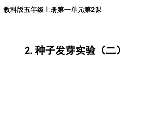 五年级上册科学课件-1.2种子发芽实验(二) ｜教科版 (共12张PPT)