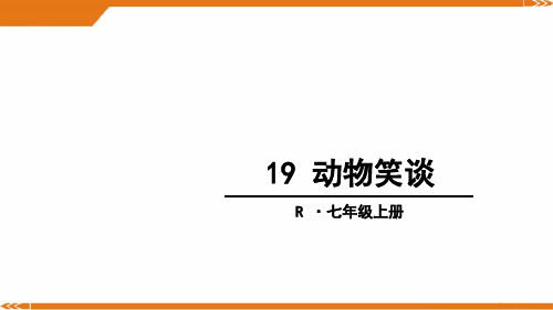 人教版语文七年级上册19 动物笑谈-课件