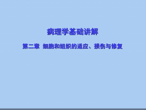 病理学基础讲解第二章细胞和组织的适应、损伤与修复