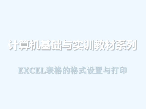 EXCEL2010表格的格式设置与打印