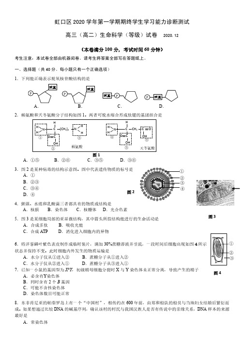 上海市虹口区2020-2021生物等级考一模试卷