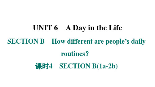 SECTIONBHow different are people’s daily routines？