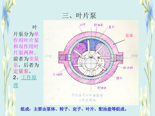 叶片泵分为单作用