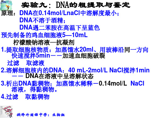 实验九DNA的粗提取与鉴定原理DNA在0.14molLnaCl中溶解度最解读