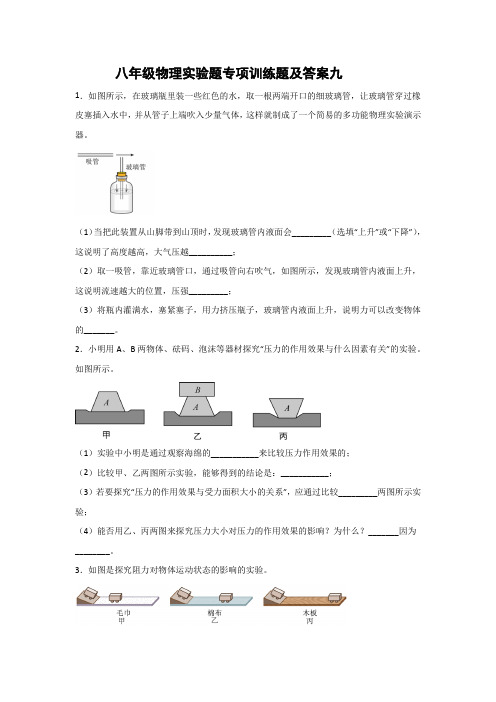 八年级物理实验题专项训练题及答案九