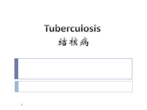 精选病理学--结核病