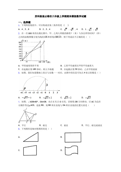 苏科版连云港市八年级上学期期末模拟数学试题