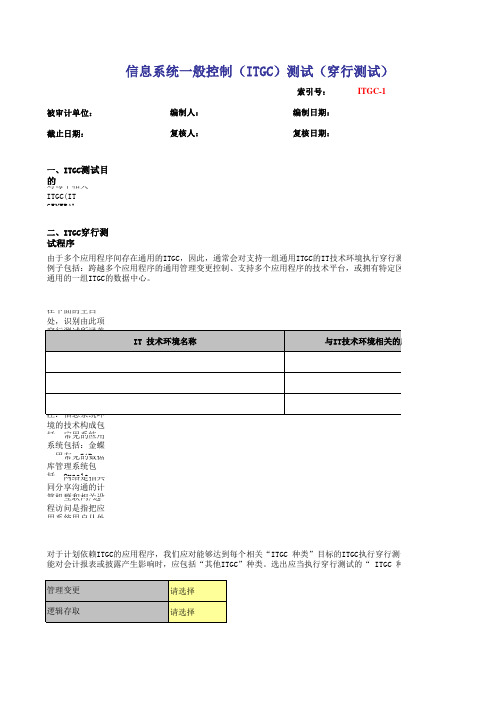 公司内部控制审计工作底稿-实施阶段-信息系统测试模版