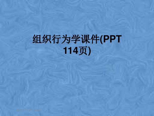 组织行为学课件(PPT 114页)