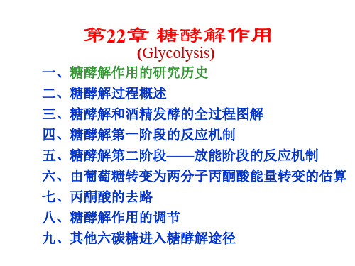 生物化学第22章糖酵解作用