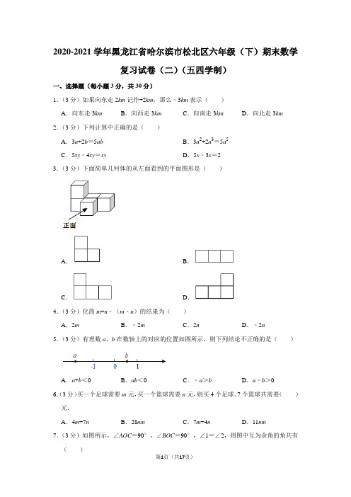 2020-2021学年黑龙江省哈尔滨市松北区六年级(下)期末数学复习试卷(二)(五四学制)