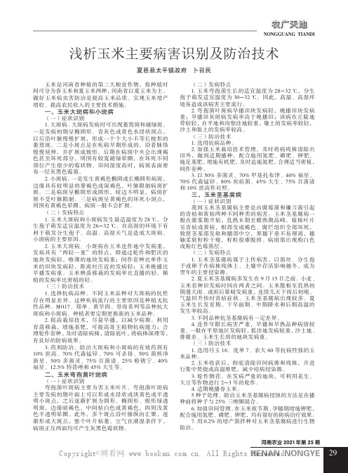 浅析玉米主要病害识别及防治技术