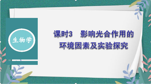 3.5+光合作用将光能转化为化学能2023-2024学年高一上学期生物浙科版(2019)必修1